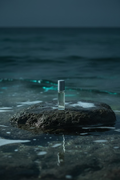 Secret of the Ocean